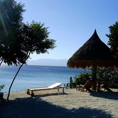Hotel Sea Turtle House Moalboal Exterior foto