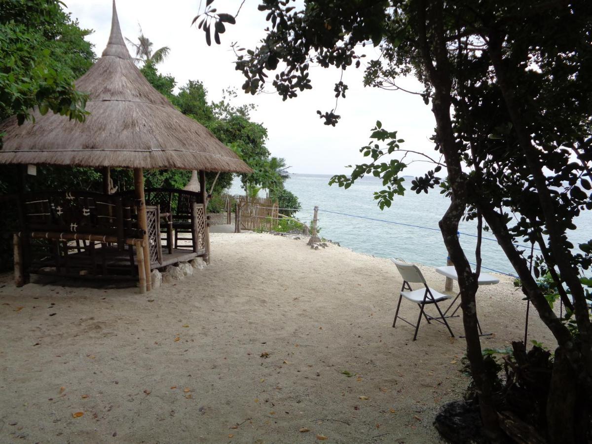 Hotel Sea Turtle House Moalboal Exterior foto
