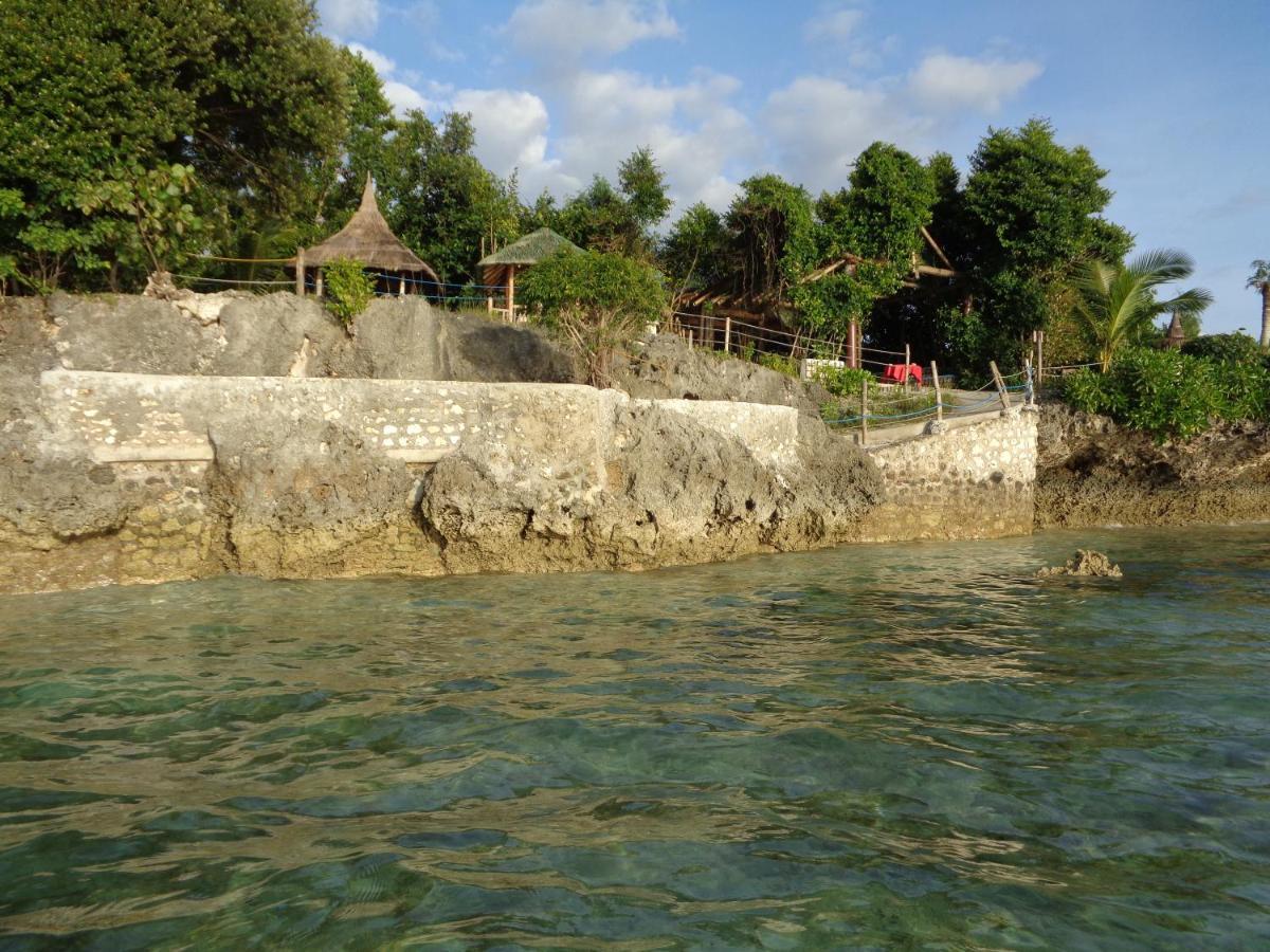Hotel Sea Turtle House Moalboal Exterior foto