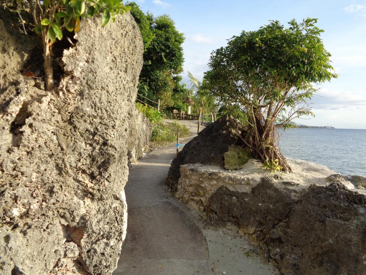 Hotel Sea Turtle House Moalboal Exterior foto
