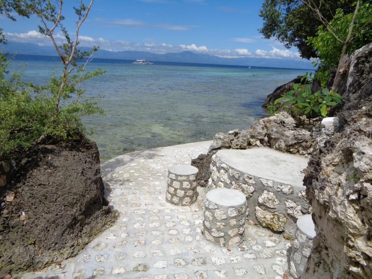 Hotel Sea Turtle House Moalboal Exterior foto