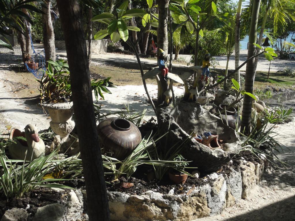 Hotel Sea Turtle House Moalboal Exterior foto