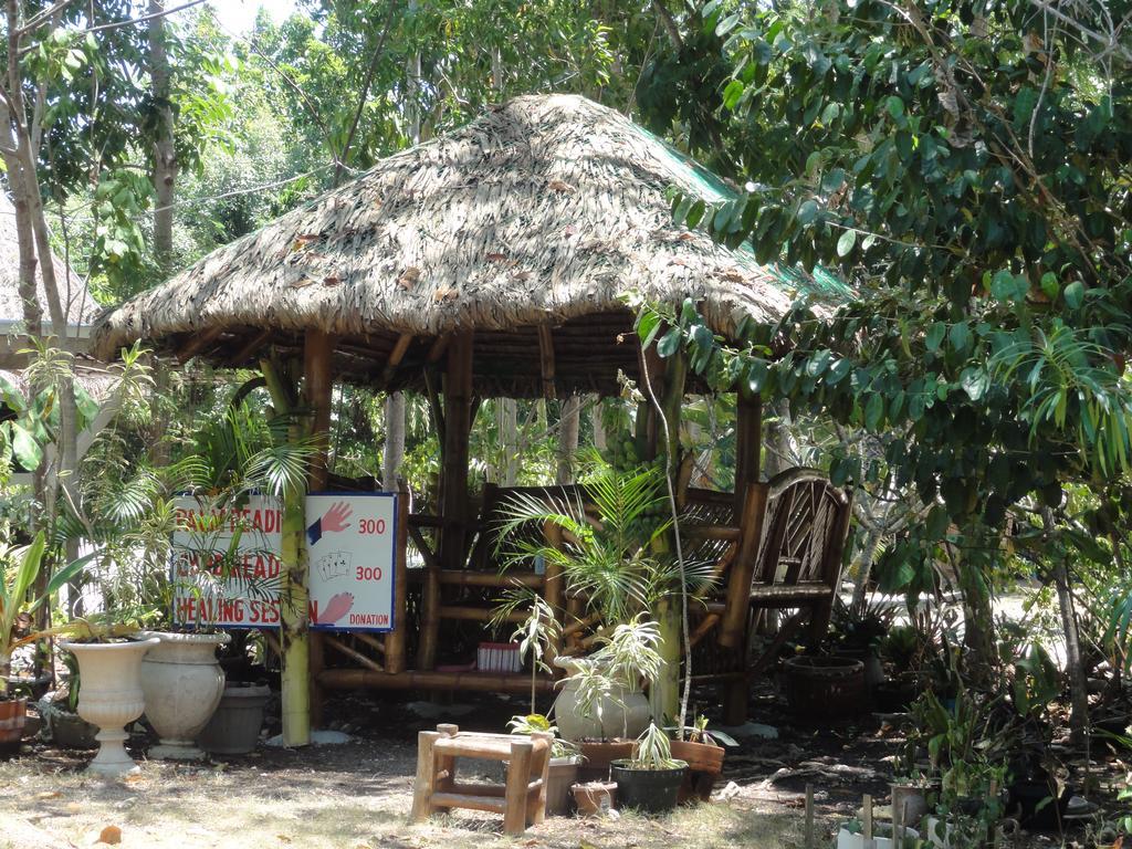 Hotel Sea Turtle House Moalboal Exterior foto