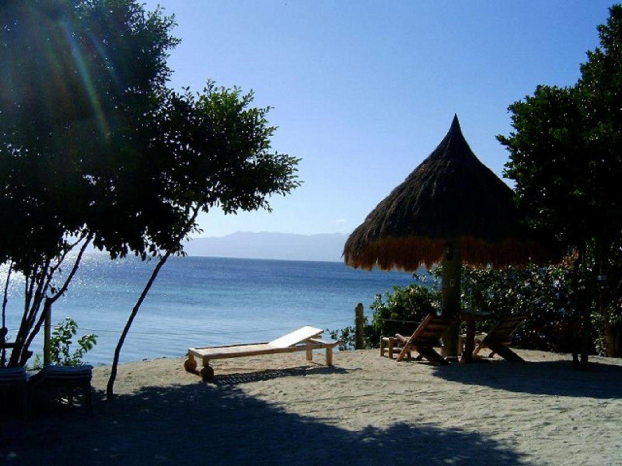 Hotel Sea Turtle House Moalboal Exterior foto