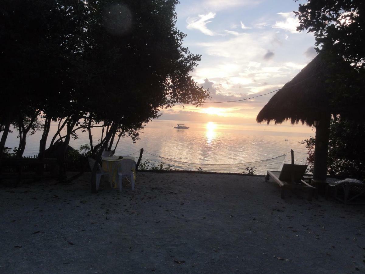 Hotel Sea Turtle House Moalboal Exterior foto