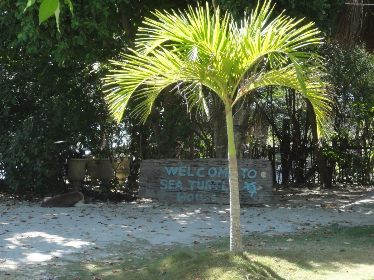 Hotel Sea Turtle House Moalboal Exterior foto