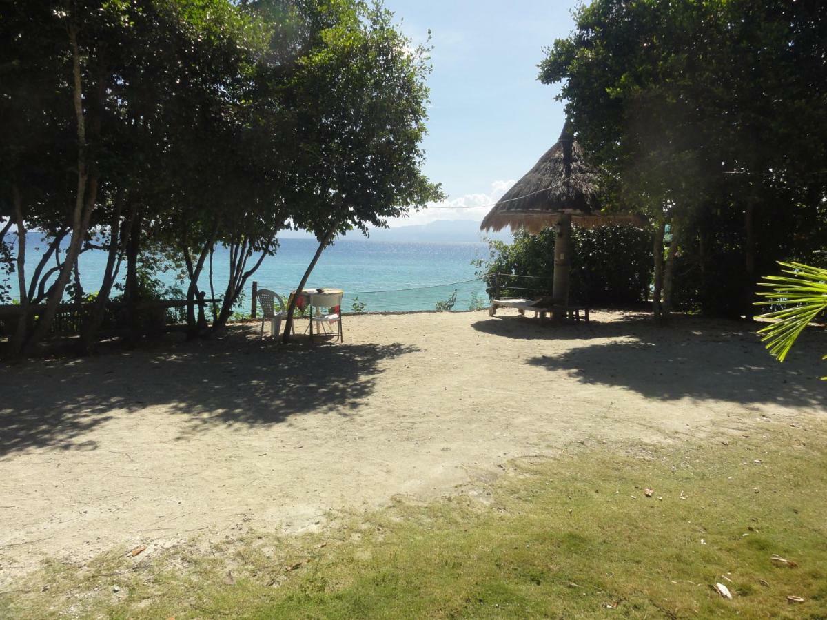 Hotel Sea Turtle House Moalboal Exterior foto