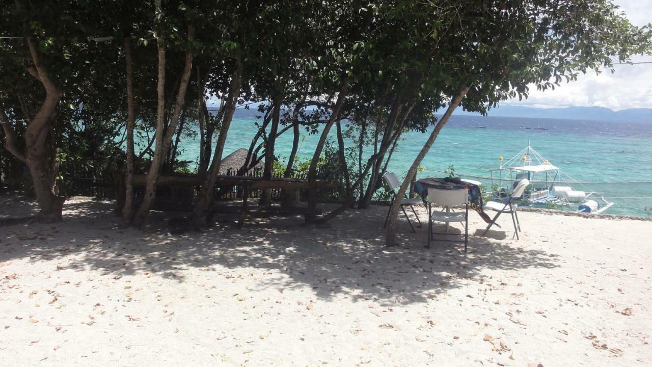 Hotel Sea Turtle House Moalboal Exterior foto