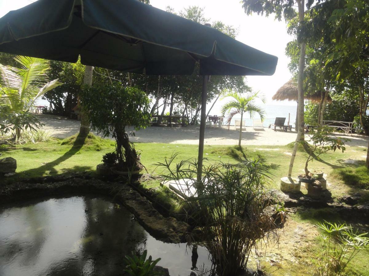 Hotel Sea Turtle House Moalboal Exterior foto