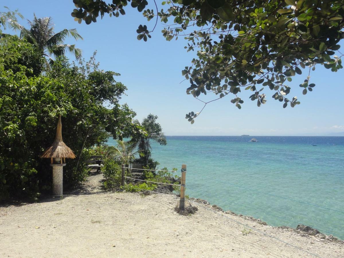Hotel Sea Turtle House Moalboal Exterior foto