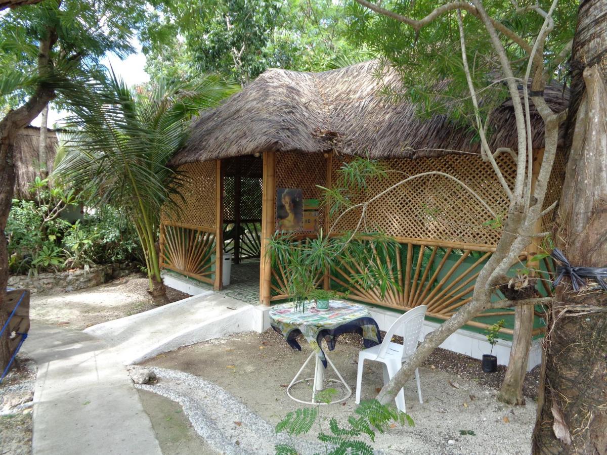 Hotel Sea Turtle House Moalboal Exterior foto