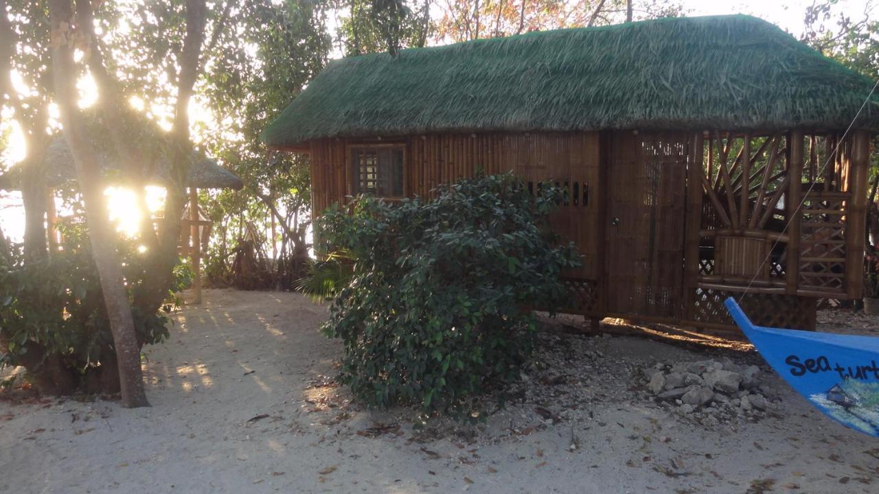 Hotel Sea Turtle House Moalboal Exterior foto