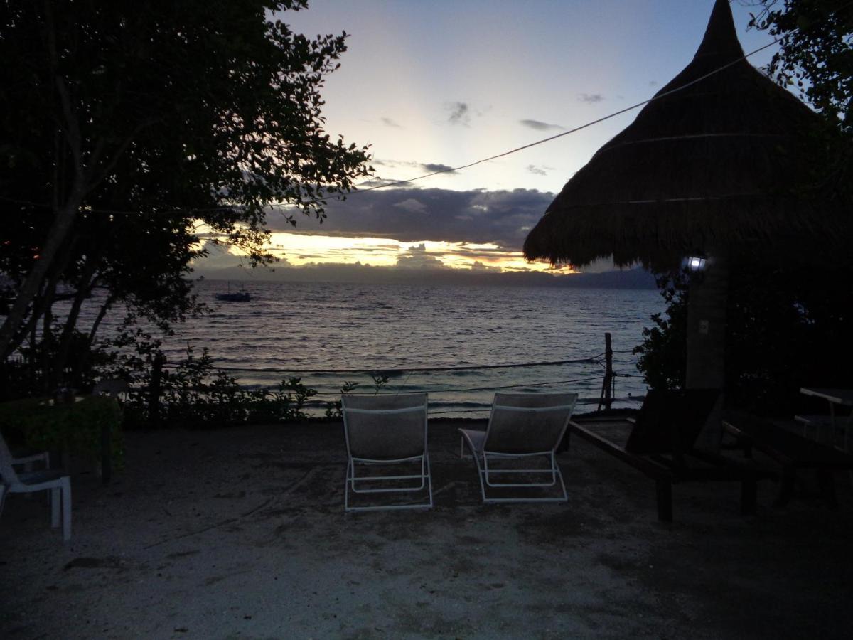 Hotel Sea Turtle House Moalboal Exterior foto