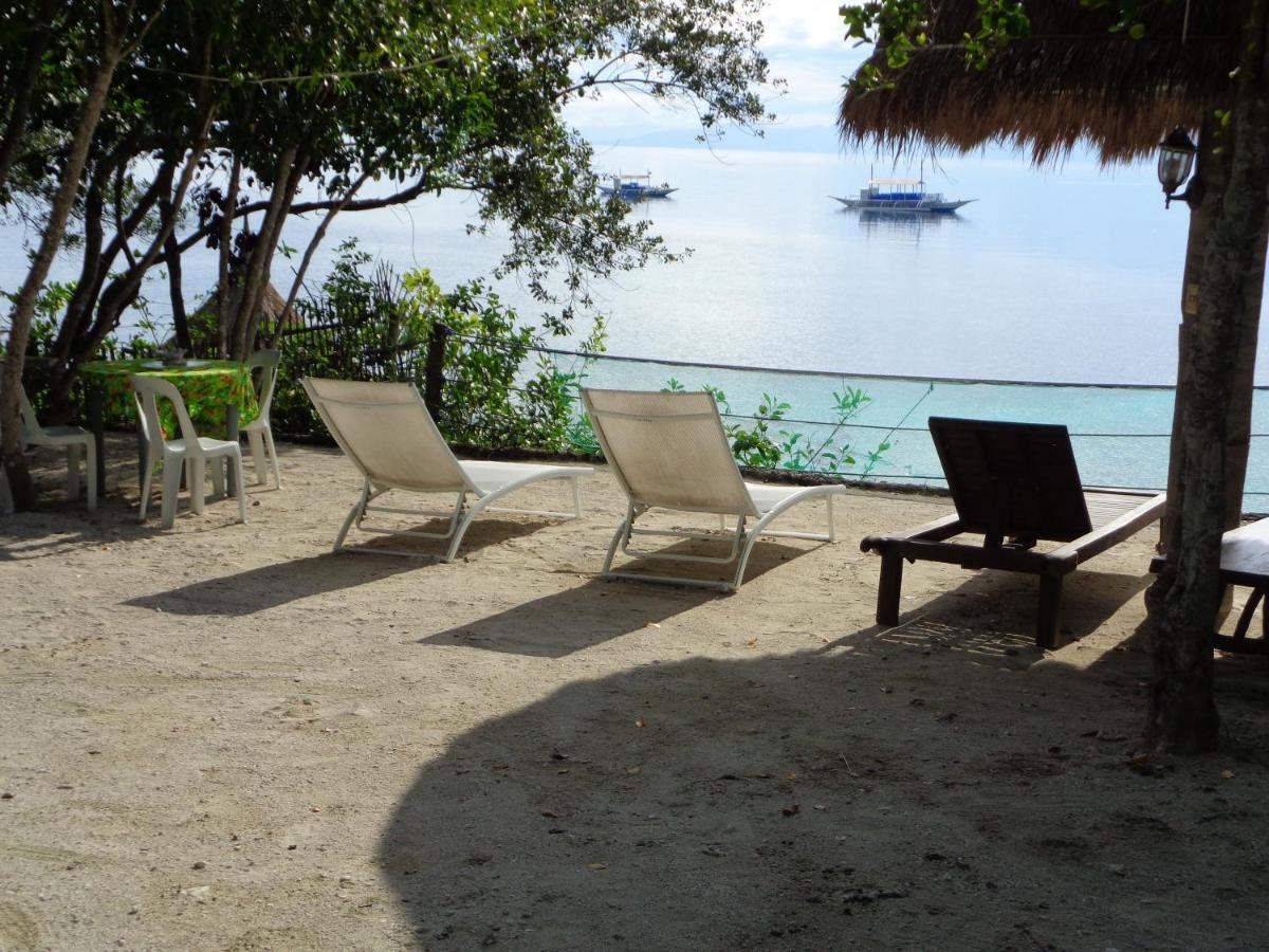 Hotel Sea Turtle House Moalboal Exterior foto