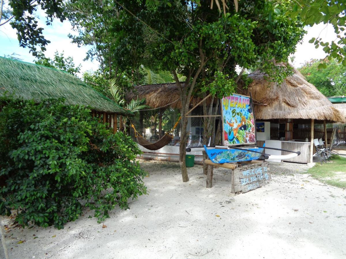 Hotel Sea Turtle House Moalboal Exterior foto