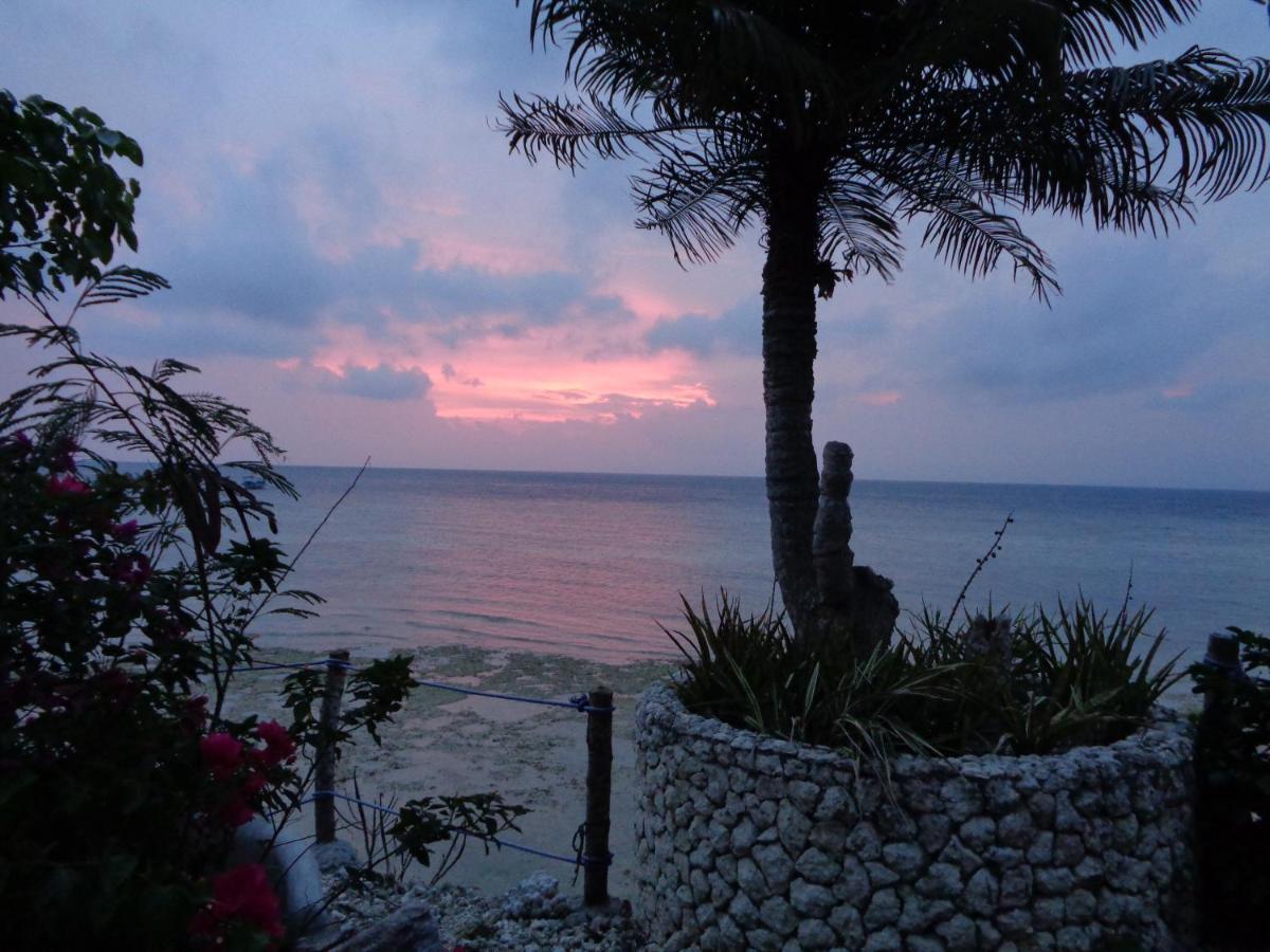 Hotel Sea Turtle House Moalboal Exterior foto